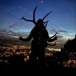 Jacob Mickelsen - @jacob.mickelsen - Instagram