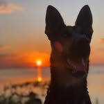 Jacob Millar - @jacobm250 - Instagram