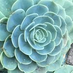 Jacob Millard - @jacob_millard - Instagram