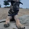 Dimas Jacob Emilo - @dimasjacobemilo - TikTok