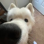 Jake Mireles - @jacob_mireles - Instagram
