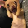 JacobMitchell - @shanosawqil - TikTok
