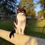 Jacob Moffatt - @kittyman1710 - Instagram