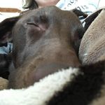 Jake Möhler - @thejacobmohler - Instagram