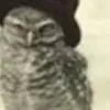 jacobmonk781 - @jacobmonk781 - TikTok