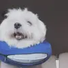 Jacob monzon - @jacob.monzon - TikTok