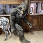 Jacob Moose Shonkwiler - @jacobmooseshonkwiler - Instagram