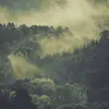 Jacob Moreland - @jacoblmoreland - TikTok
