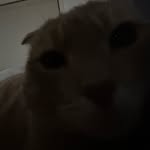 Jacob Morelli - @bocaj090412 - Instagram