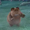 Jacob Mount - @jacob.mount0 - TikTok