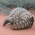 Jacob Mussa - Facebook