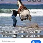 Jacob Moye - @jacob.moye.967 - Instagram