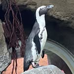 Jacob Mullis - @jacobmullis2020 - Instagram