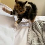 jacob murillo - @jacobmurillo270 - Instagram
