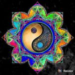 Jacob Muse - @richtofenbo3 - Instagram