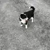 Jacob Na - @jacobna30 - TikTok