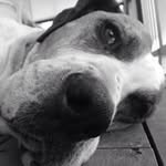Jacob N. - @jacobnaders - Instagram