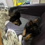 @jacob_n_alex - Instagram