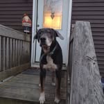 Jacob Nason - @jacobnason3 - Instagram