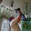 Jacob Navarrete - @jacob.navarrete40 - TikTok