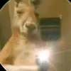 Jaquer  de nacimiento - @jacob.navarrete61 - TikTok
