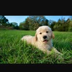 Jacob Neblett - Facebook