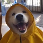 Jacob Nellis - @jake2_4929 - Instagram