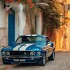 🐎Mustang🐎 - @jacobsnerox31 - TikTok