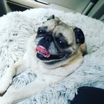 Jacob Nesmith - @jacob_nesmith_77 - Instagram