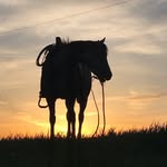 Jacob - @jacobneufeld7 - Instagram