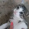 elisetejacobneves - @elisetejacobneves3 - TikTok