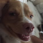Jacob Ngo - @maj3r_k3y_n0t1f1cat10n - Instagram