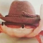 Jacob - @jacob.nowak.06 - Instagram