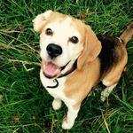 jacob_nugent - @jacobnugent46 - Instagram