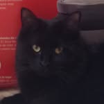 Jacob Nutt - @best_kingsley - Instagram