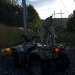 Jacob Nutter - @jacobnutter_10 - Instagram