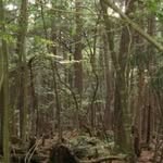 Jacob Oaks - @emotions_got_me_like_ - Instagram