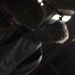 Jacob N Ogden - @jacob.noel.ogden.jpeg - Instagram