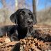 Jacob Ogden - Facebook