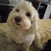 Jacobo Castro Ramirez - Facebook