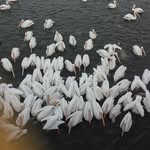 Ramon Jacobo - @jacobo.ramon - Instagram