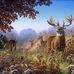 Jacob Ostrander - Facebook