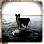 Jacob Ostrowski - @hurleyiii3 - Instagram