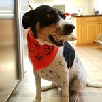 Jacob Oxley - @jdoxley6 - Instagram