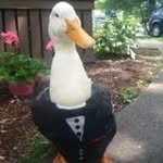ʎɟɟᴉdS - @jacob_palacios04 - Instagram