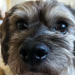jacob palacio - @jacobopalacio - Instagram