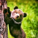 Jacob Panek - @jacobyboy1234 - Instagram