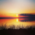 Jacob Pang - @jacobpang4572 - Instagram