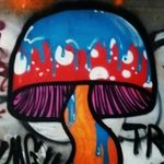 jacob pardee - @dustyshroom - Instagram