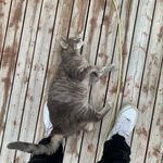 jacob parent - @jacobparennt - Instagram